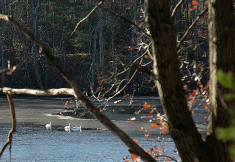 lauren hamden of|Could Hamdens polluted Six Lakes site become CTs next state。